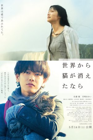 Если кошки исчезнут во всём мире бесплатно